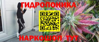 каннабис Бийск