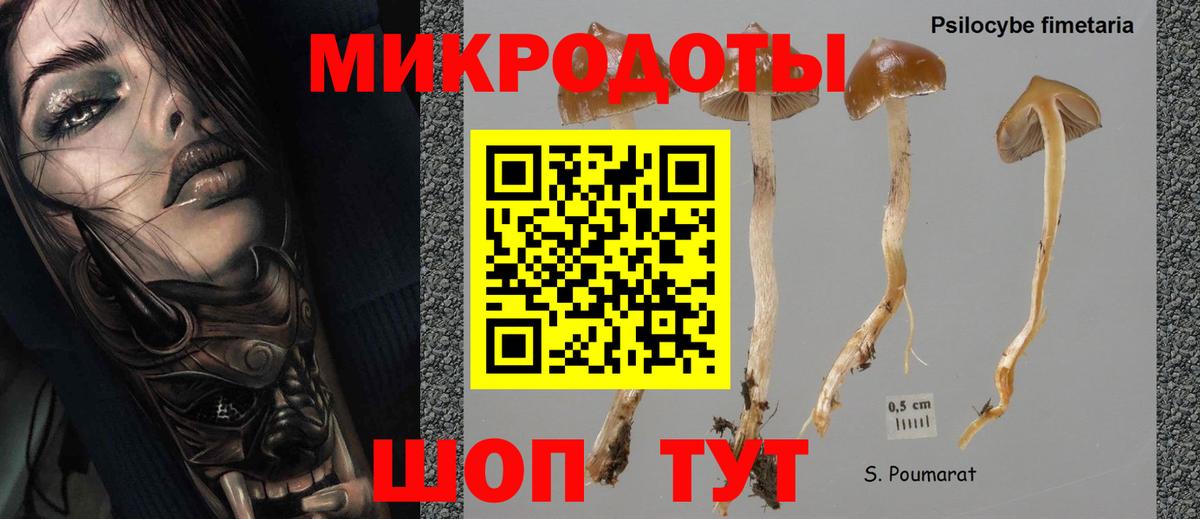 Галлюциногенные грибы GOLDEN TEACHER  Галлюциногенные грибы GOLDEN TEACHER  Вход с VPN  Аша 